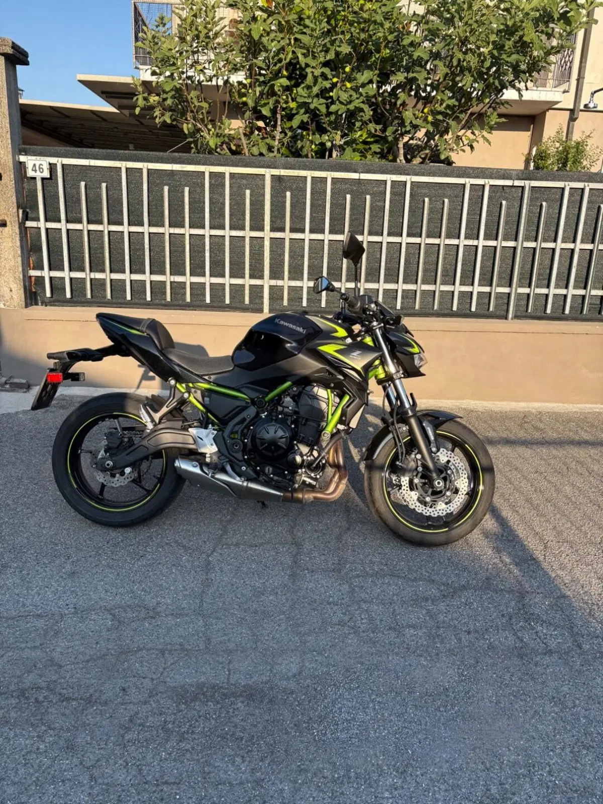 Kawasaki Z 650 (2021 - 24) (2)