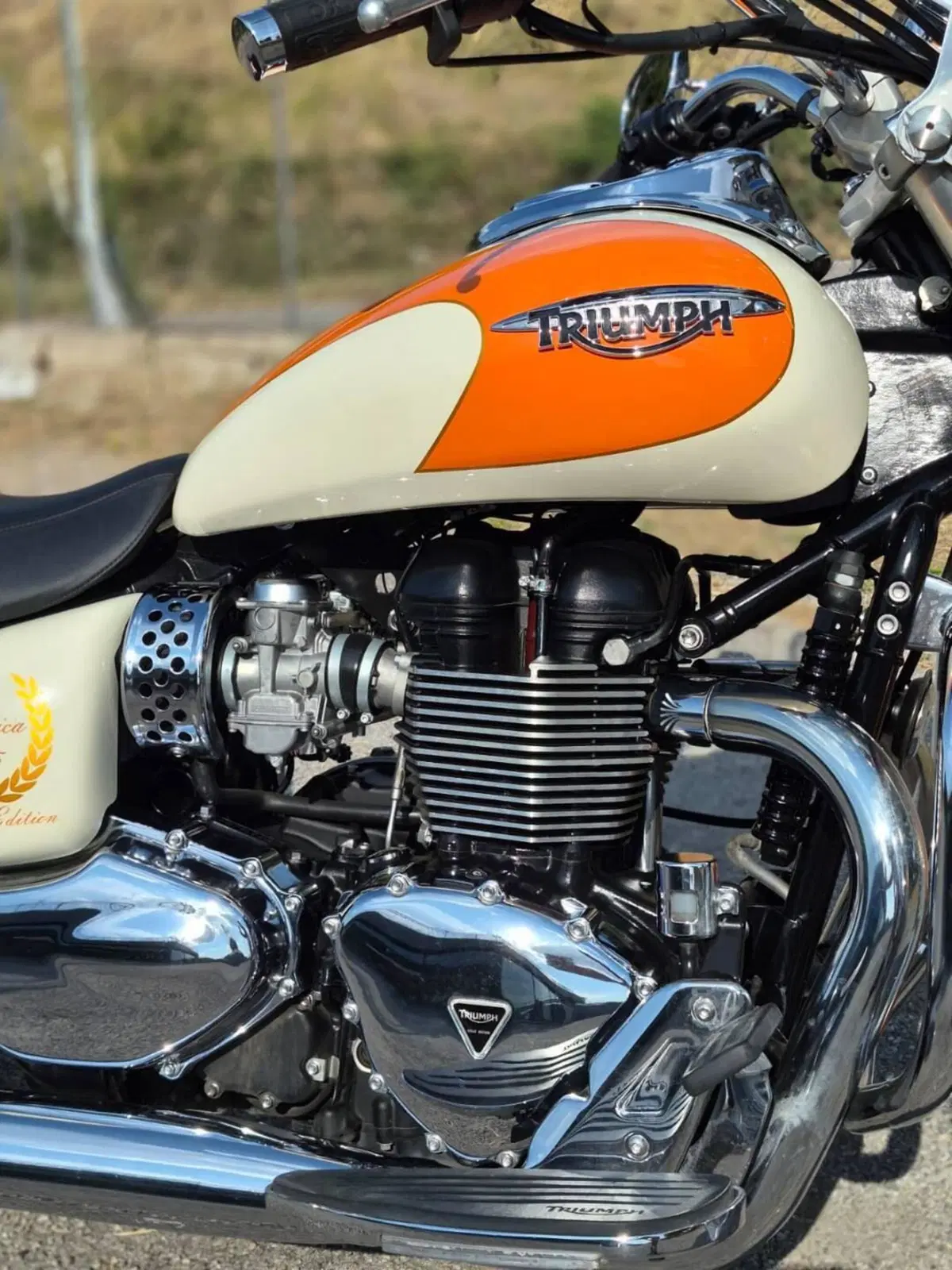 Triumph America (2011 - 16) (4)