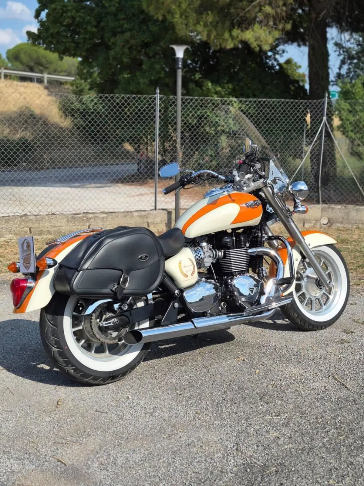 Triumph America (2011 - 16) (5)