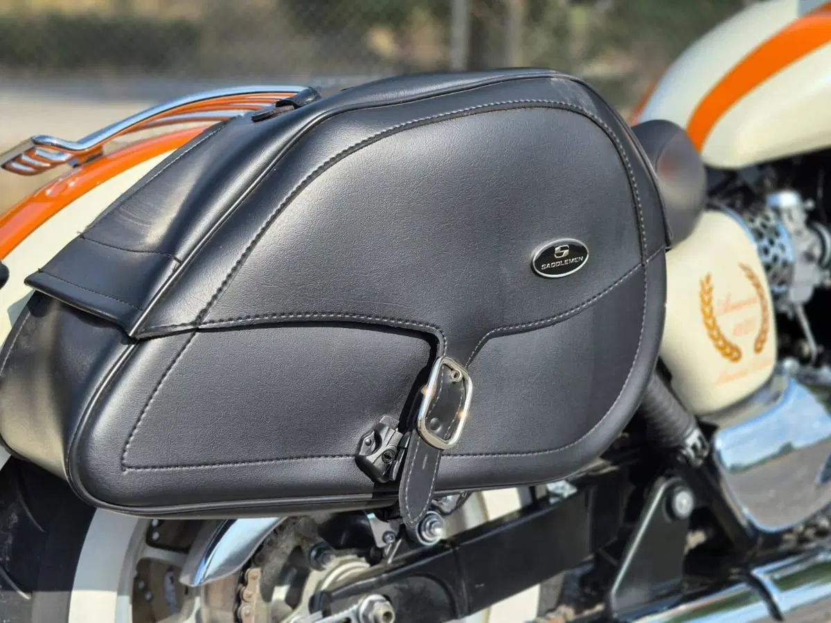 Triumph America (2011 - 16) (6)