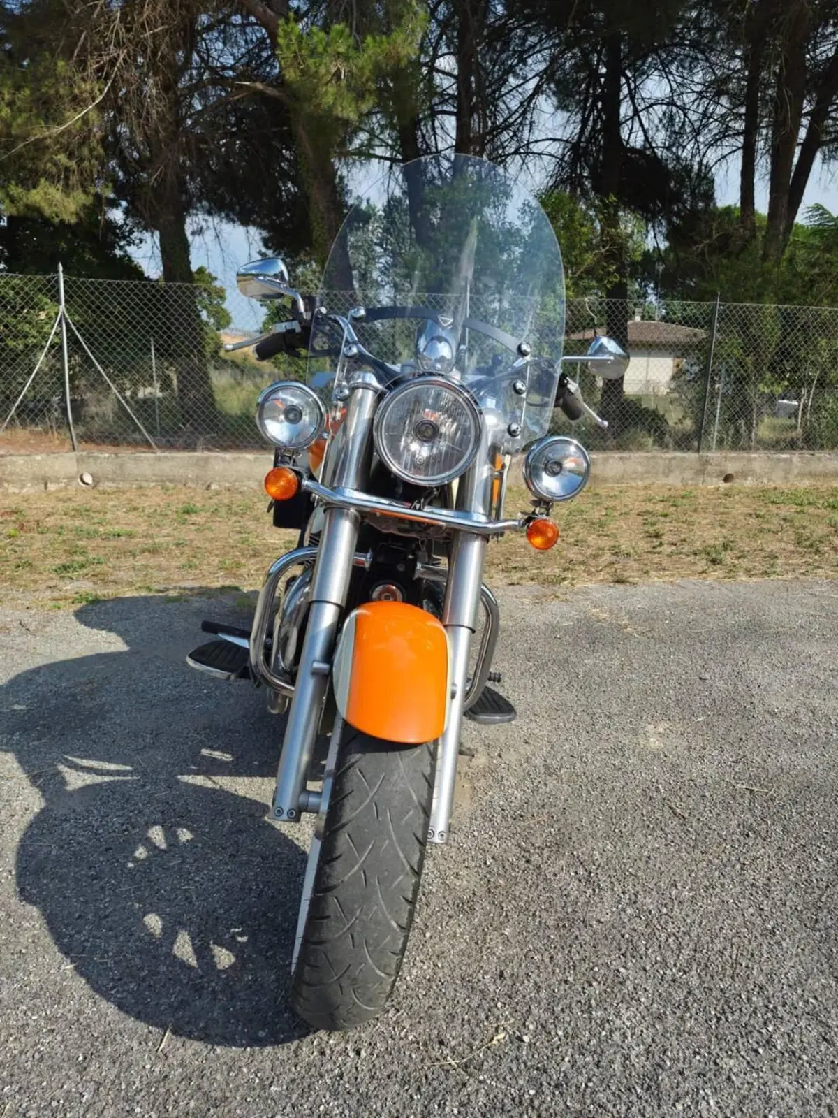 Triumph America (2011 - 16) (9)