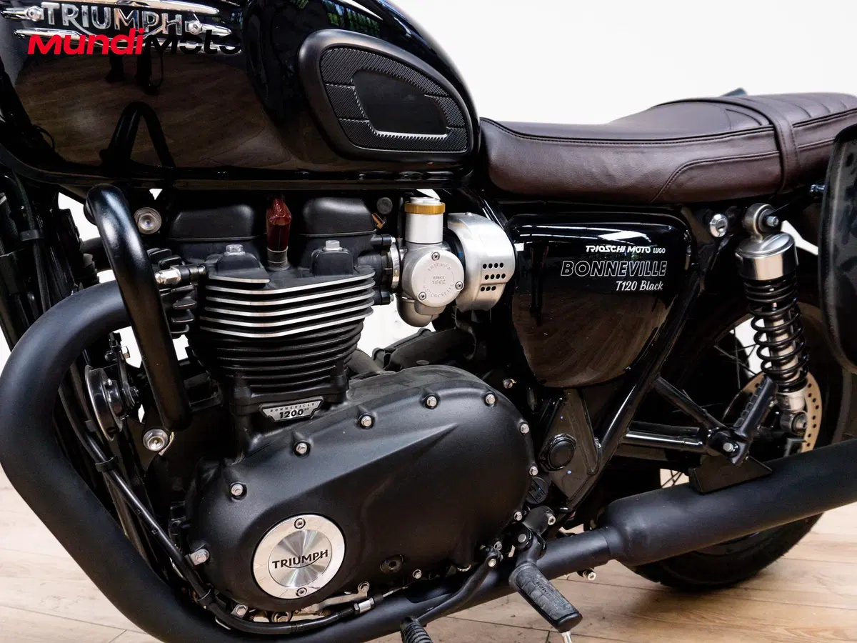 Triumph Bonneville T120 Black (2026) (9)