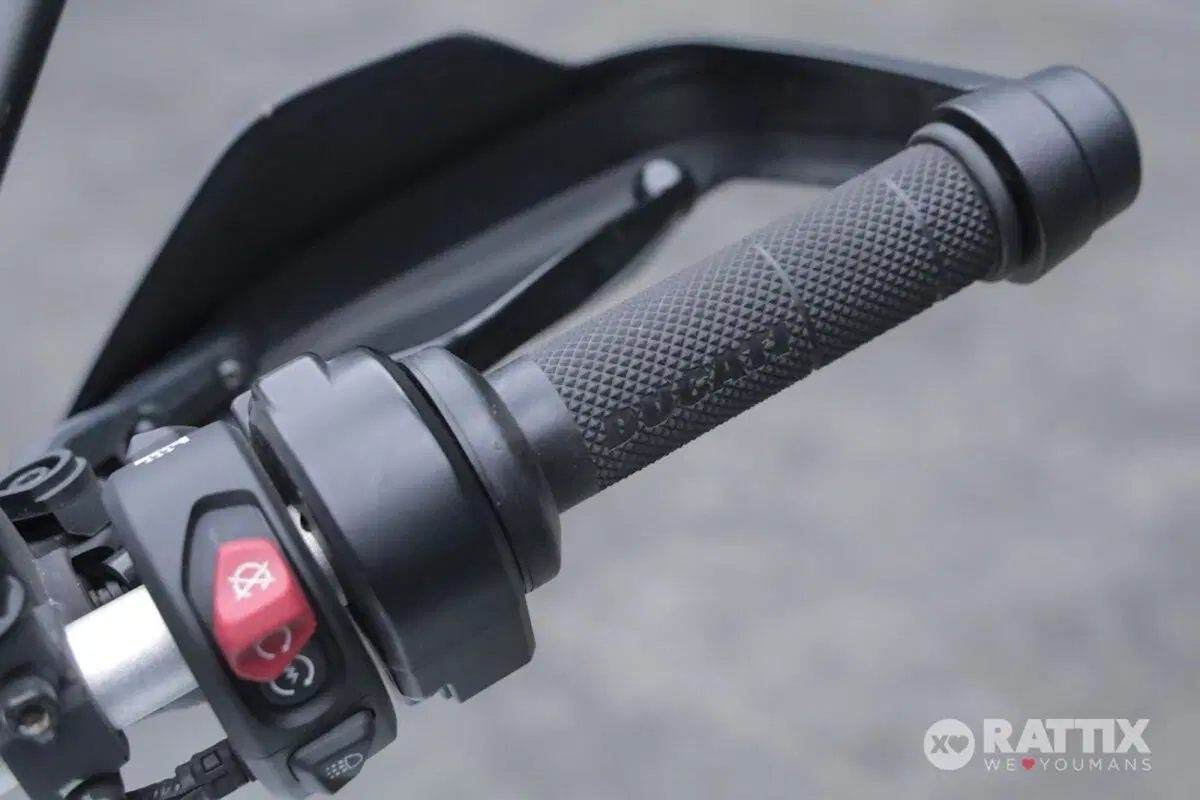 Ducati DesertX (2022 - 25) (12)