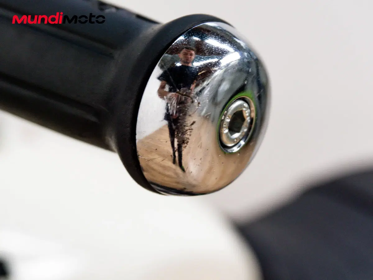 Royal Enfield Bear 650 (2025 - 26) (13)