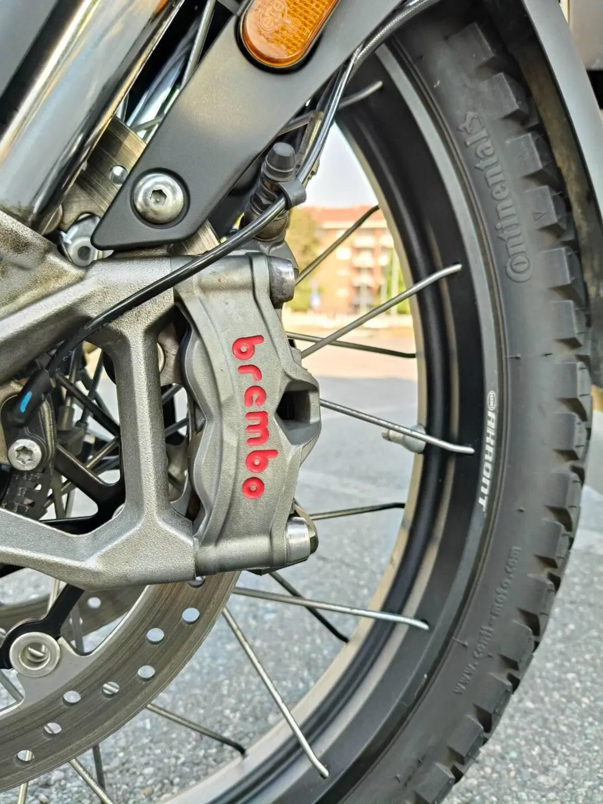 Triumph Tiger 900 Rally Pro (2020 - 23) (9)