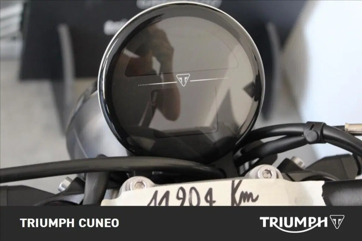 Triumph Trident 660 (2025) (7)