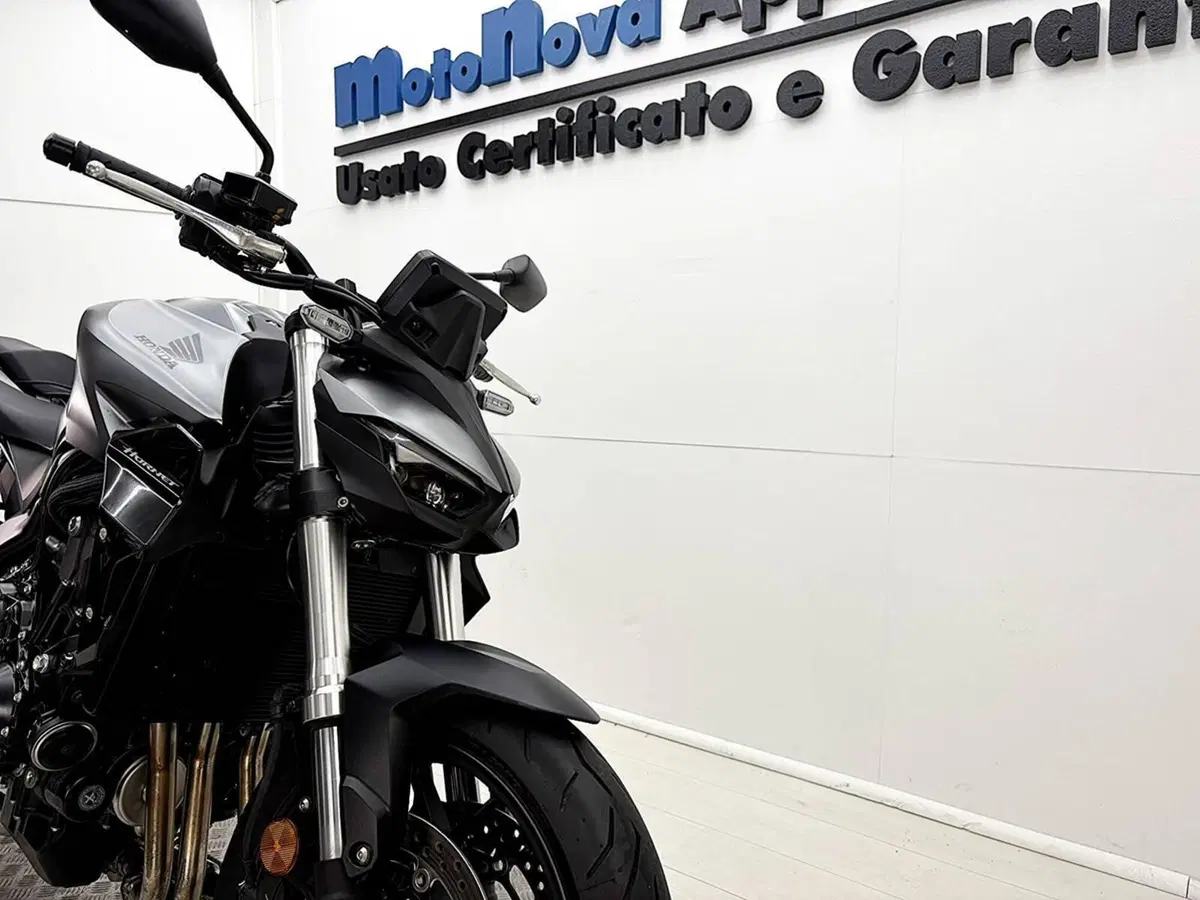 Honda CB 1000 Hornet (2025 - 26) (11)