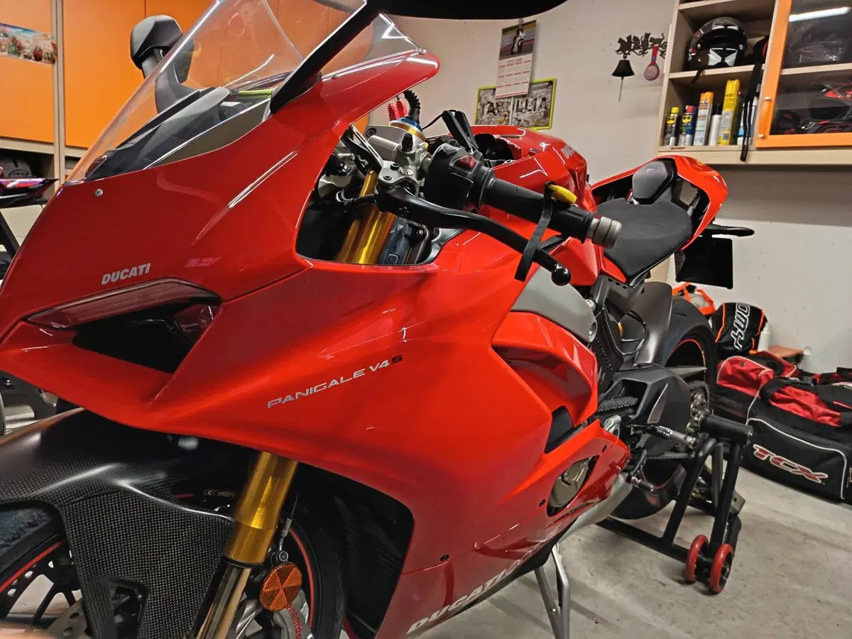 Ducati Panigale V4 S 1100 (2018 - 19)