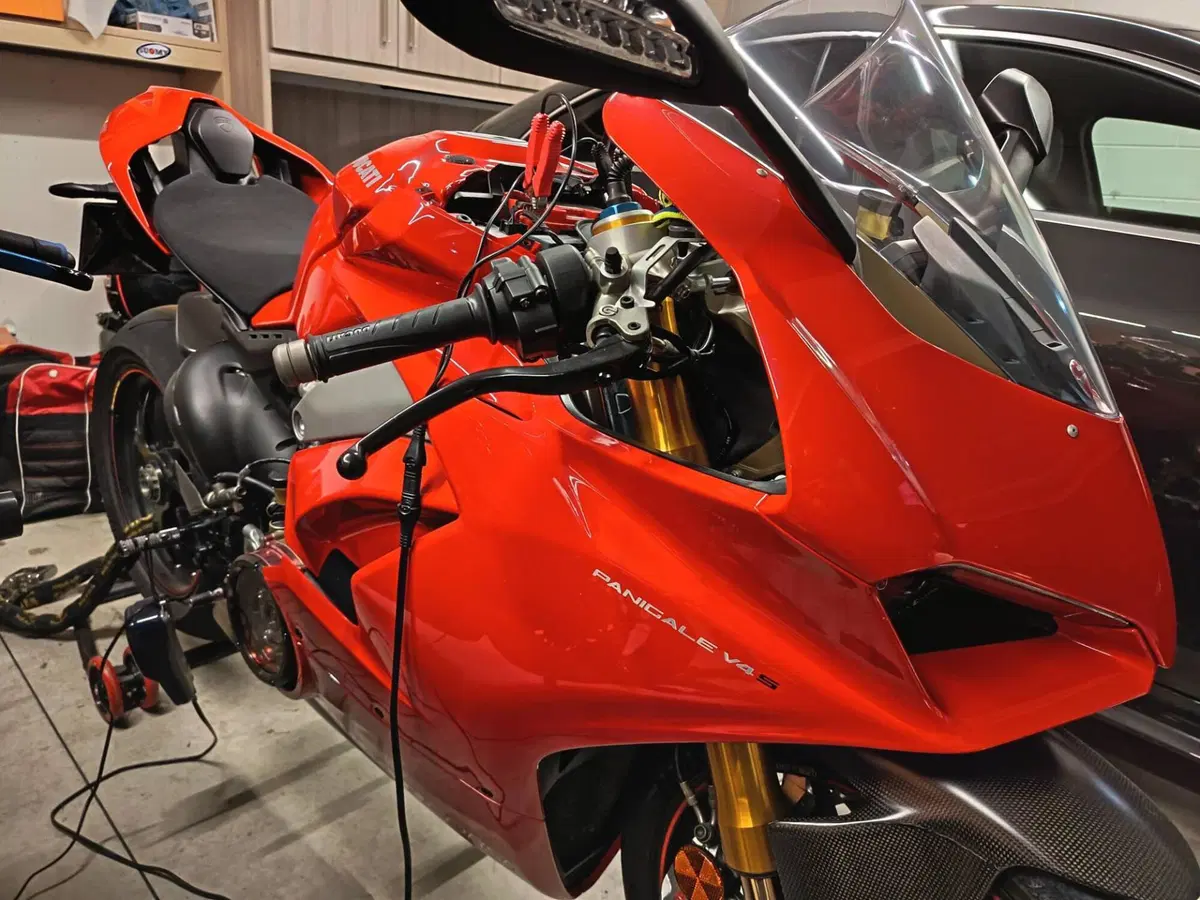 Ducati Panigale V4 S 1100 (2018 - 19) (2)