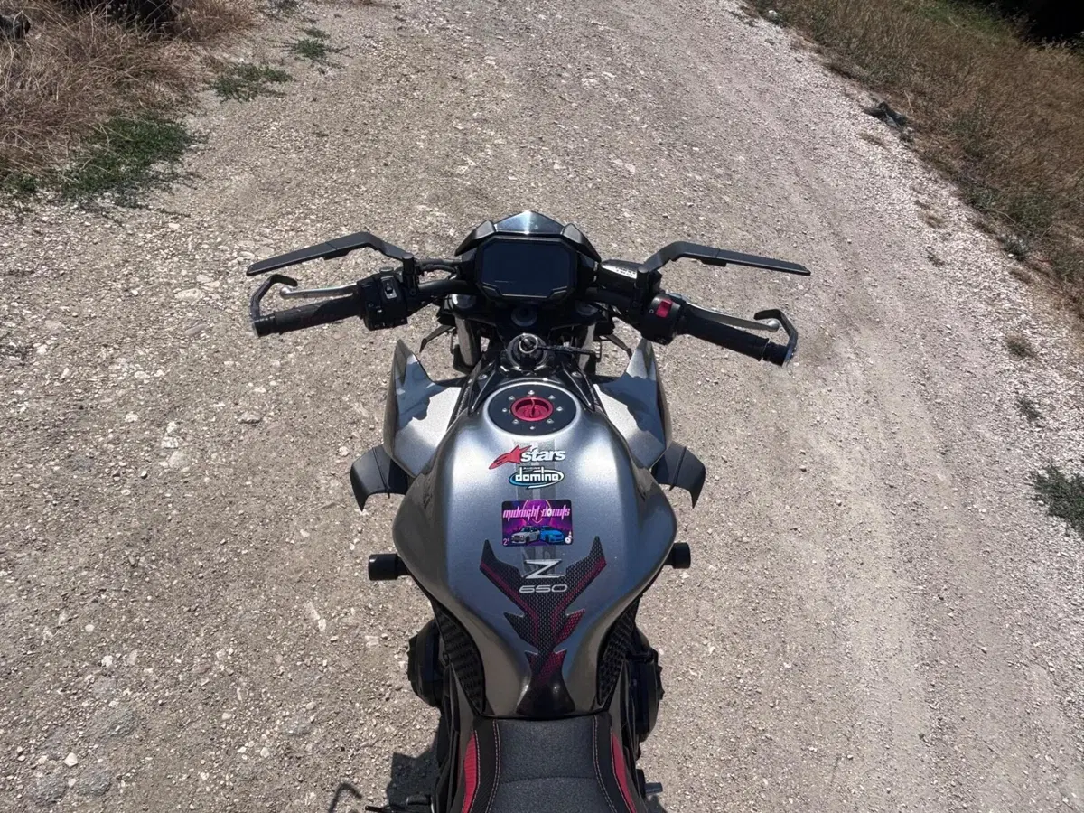 Kawasaki Z 650 (2021 - 24)