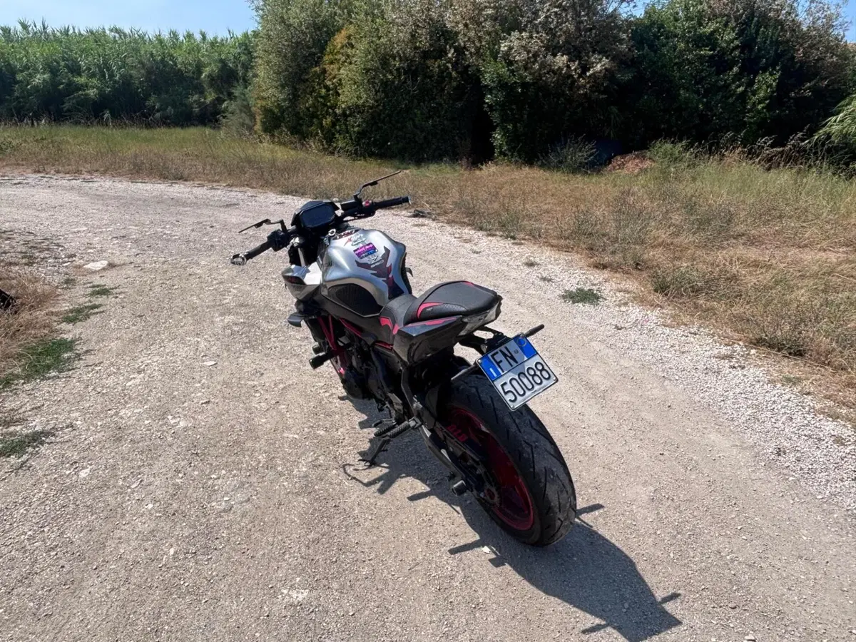 Kawasaki Z 650 (2021 - 24) (2)