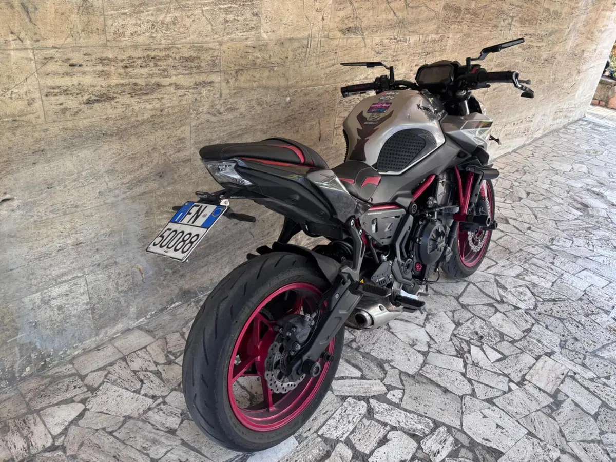 Kawasaki Z 650 (2021 - 24) (5)