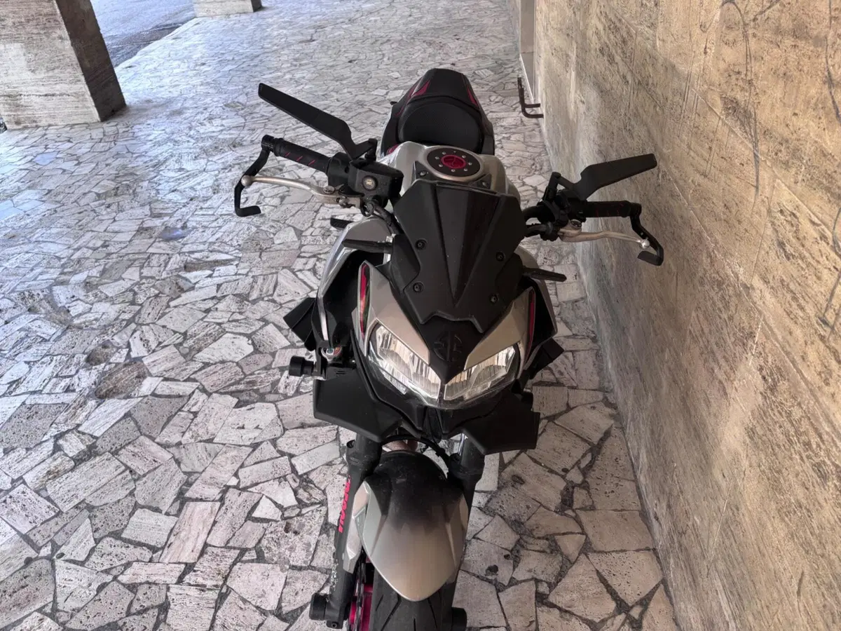 Kawasaki Z 650 (2021 - 24) (6)