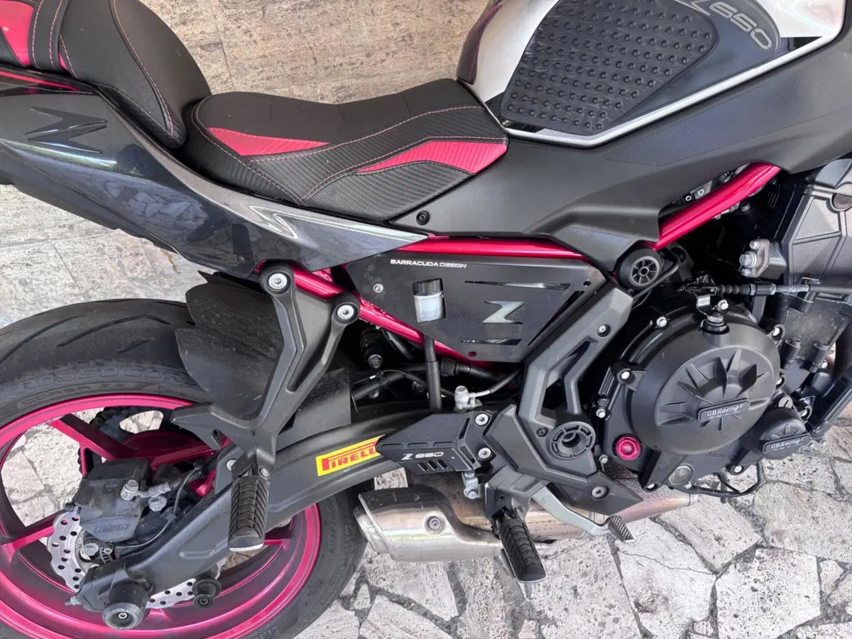 Kawasaki Z 650 (2021 - 24) (7)