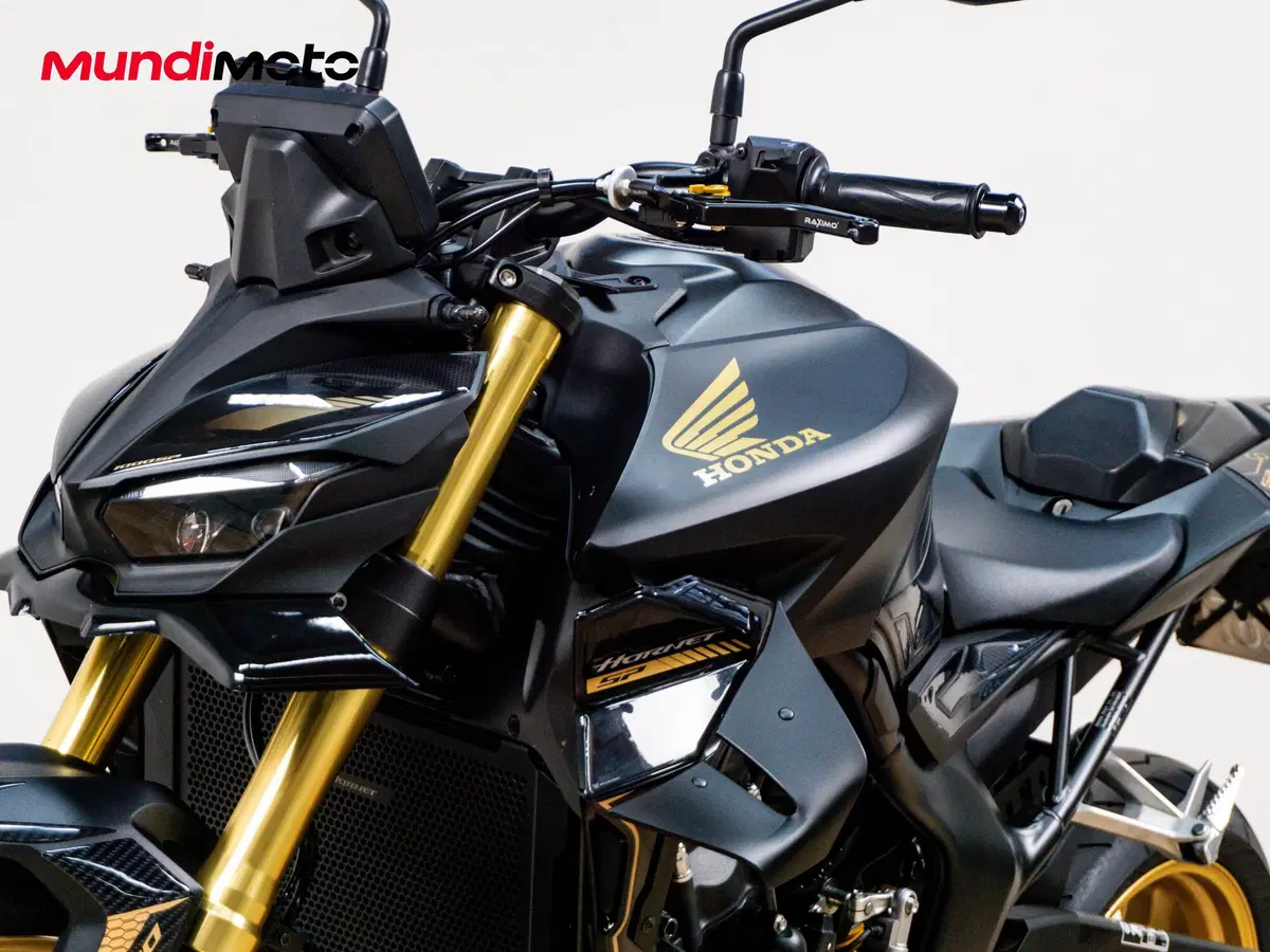 Honda CB 1000 Hornet SP (2025 - 26) (13)