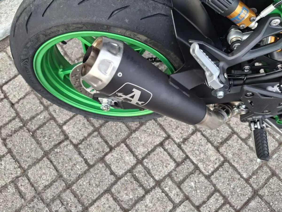 Kawasaki Z 900 (2025 - 26) (7)