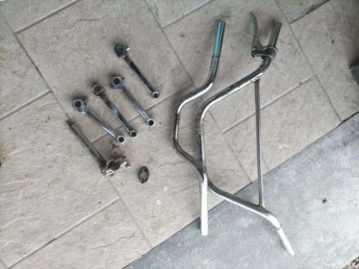 Demm Dick Dick Sport Unificato  (14)