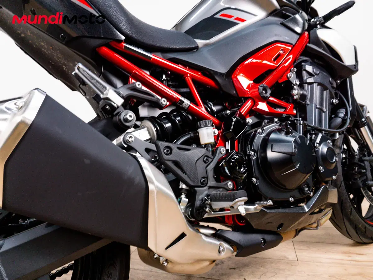 Kawasaki Z 900 A2 Performance (2026) (4)