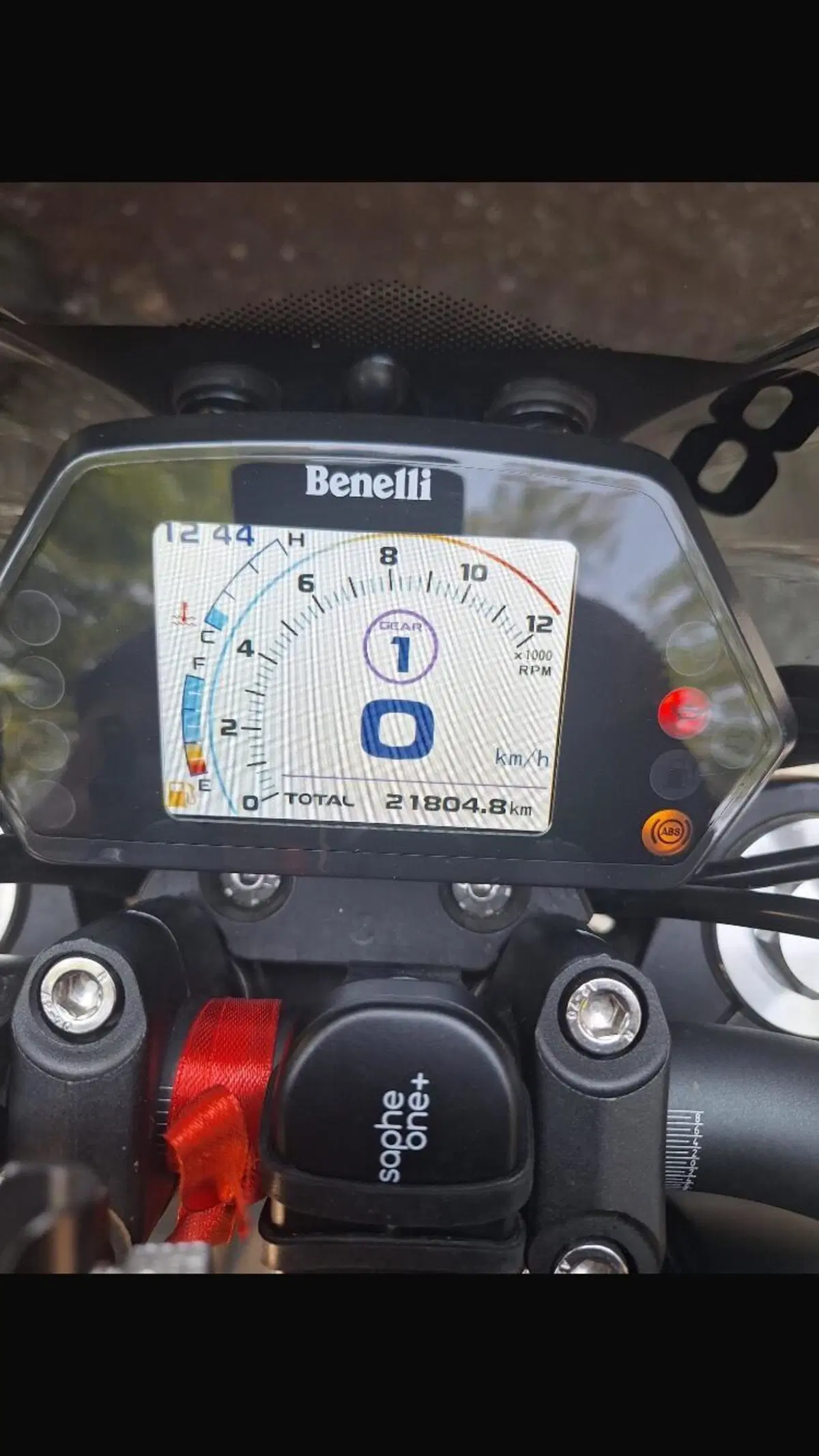 Benelli 502 C (2021 - 25) (3)
