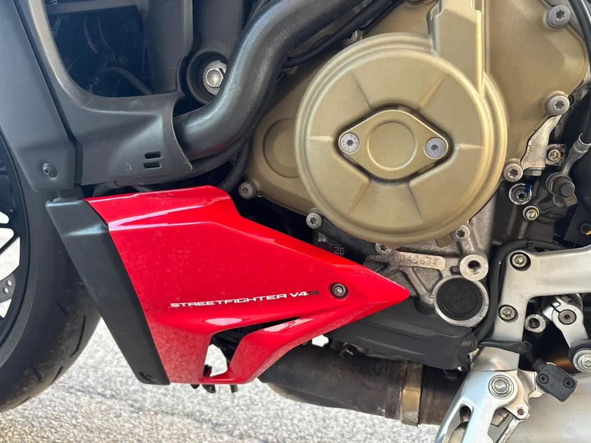 Ducati Streetfighter V4 1100 S (2021 - 22) (16)