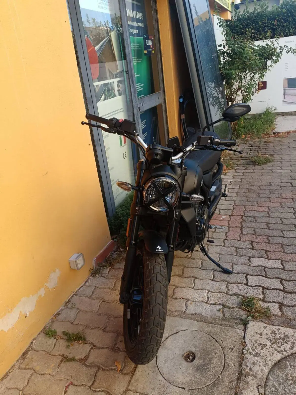 Ducati Scrambler 800 Icon Dark (2025 - 26) (2)