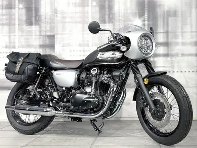 Kawasaki W 800 (2020) nuova