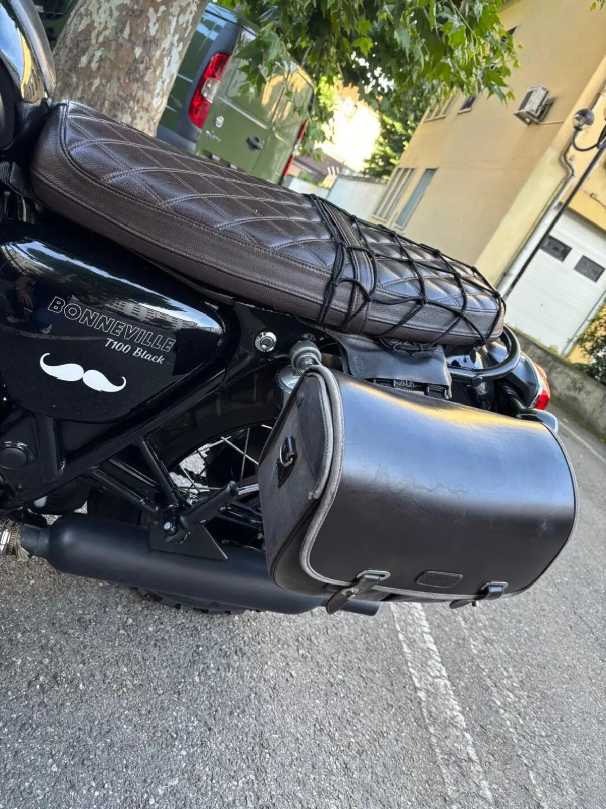Triumph Bonneville T100 (2017 - 20) (3)