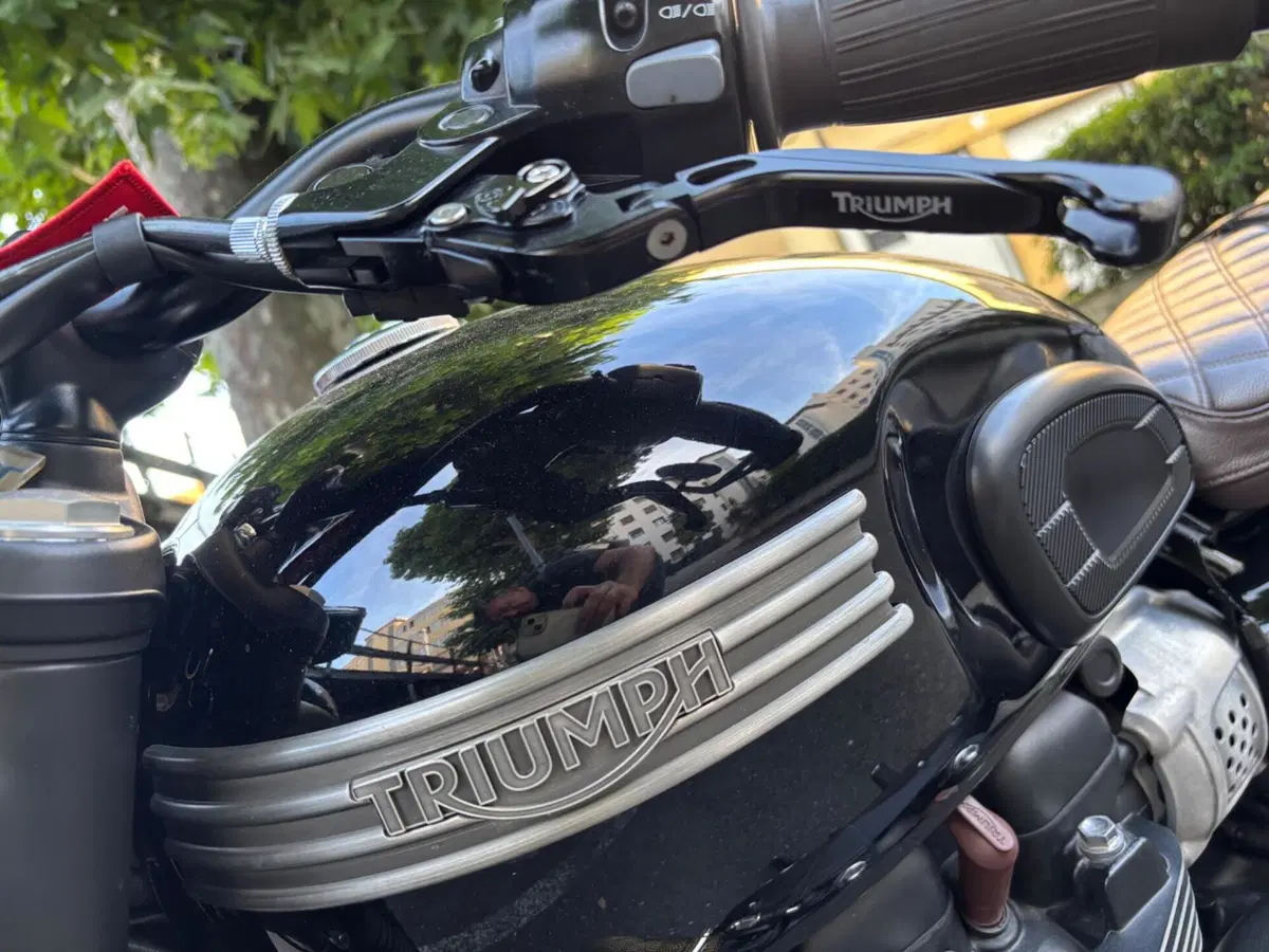 Triumph Bonneville T100 (2017 - 20) (4)