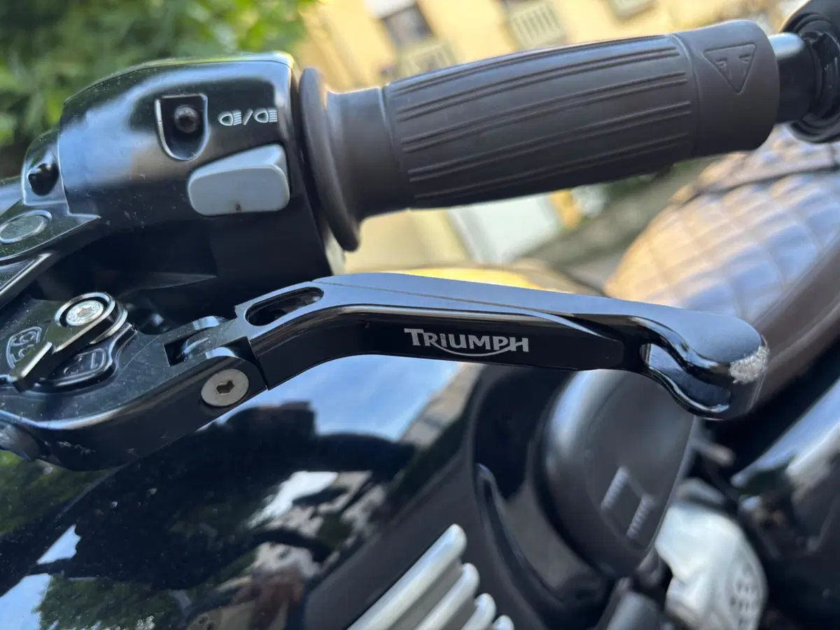 Triumph Bonneville T100 (2017 - 20) (5)