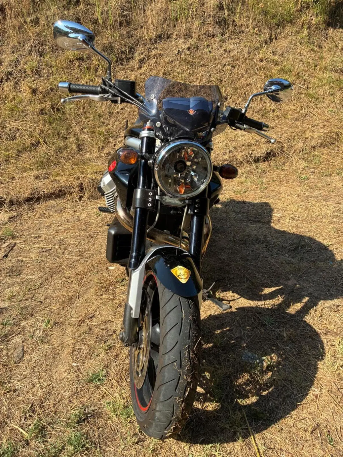 Moto Guzzi Griso 1100 (2005 - 11) (16)