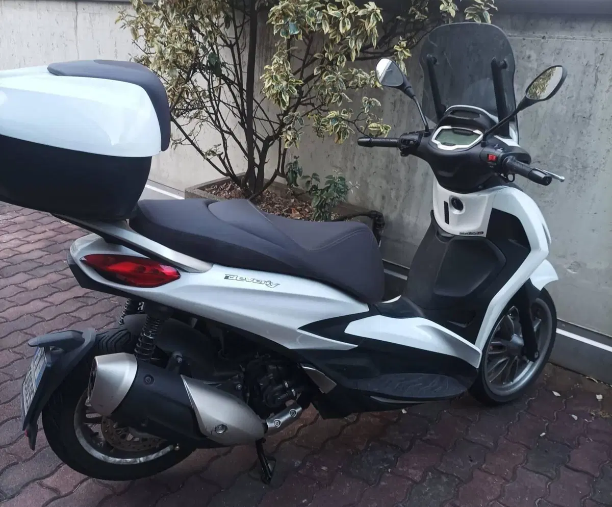 Piaggio Beverly 300 ABS-ASR (2021 - 25)