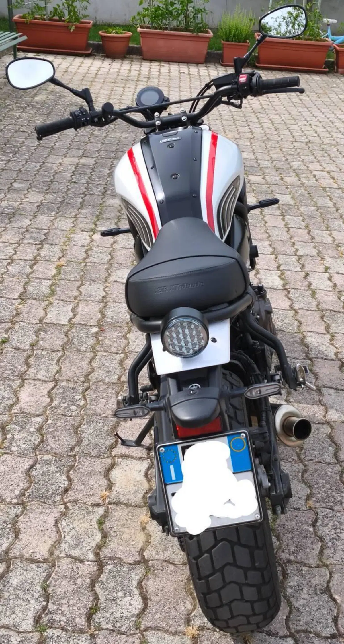 Yamaha XSR 700 XTribute (2022 - 24) (8)