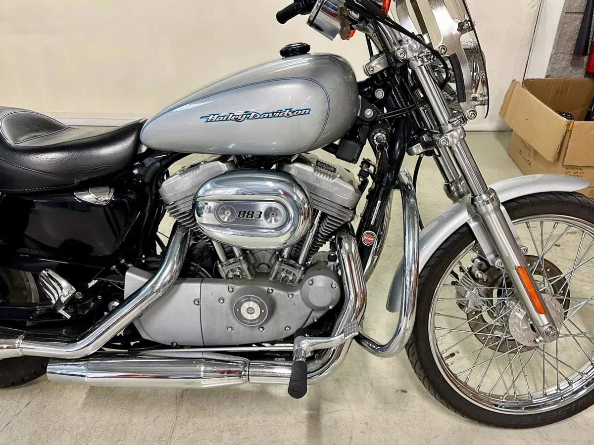 Harley-Davidson 883 Custom (2001 - 05) - XL 53C (7)