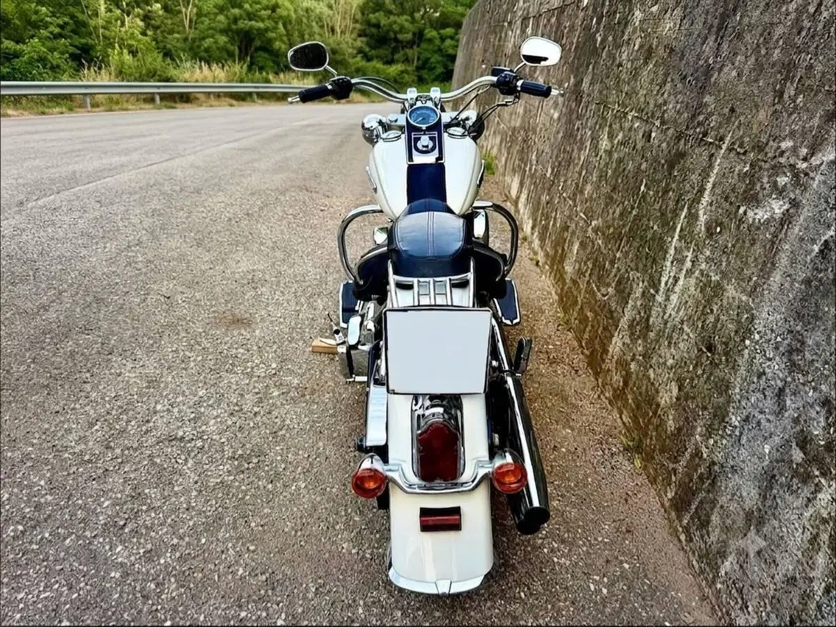 Harley-Davidson 1690 Deluxe ABS (2011 - 16) - FLSTN (7)