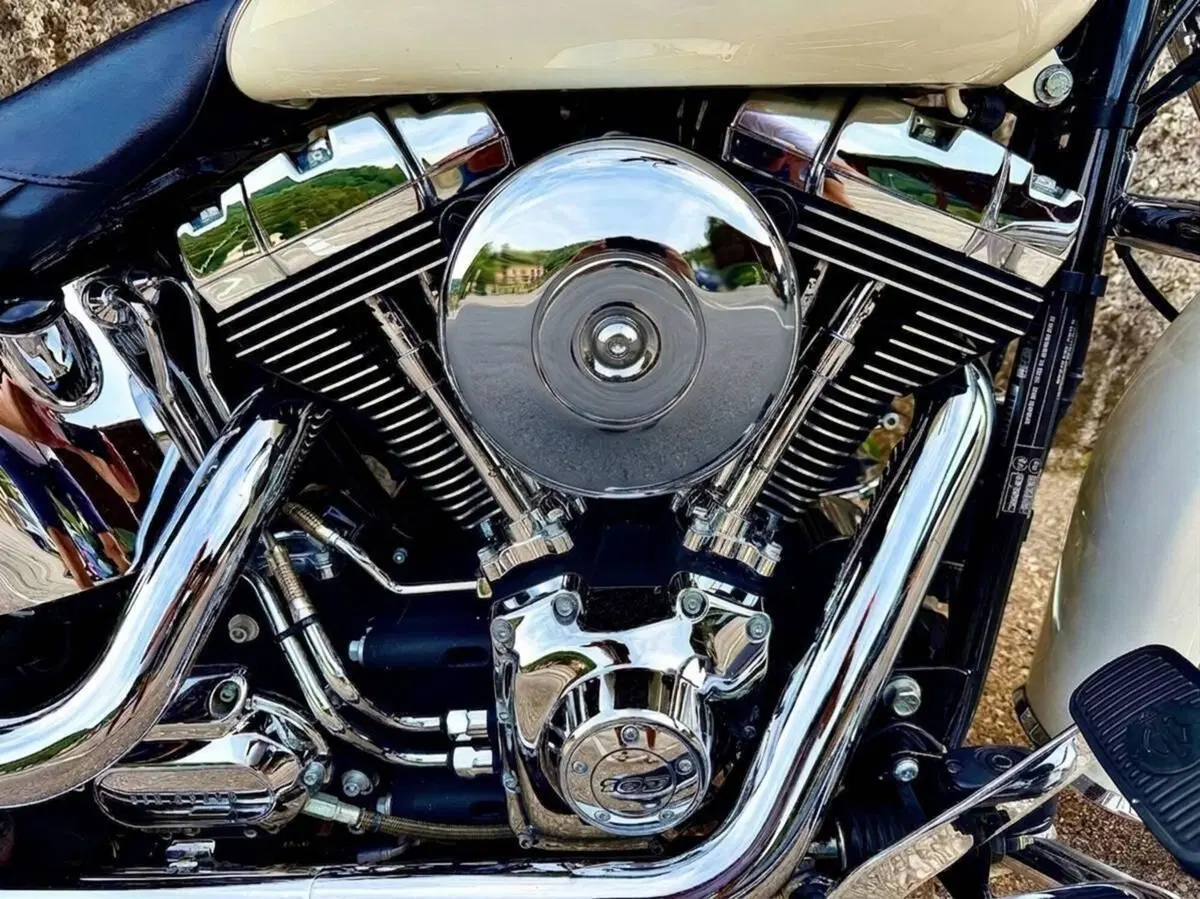 Harley-Davidson 1690 Deluxe ABS (2011 - 16) - FLSTN (10)