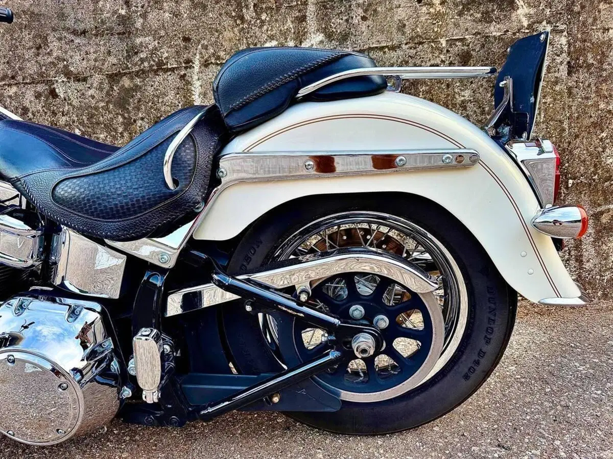 Harley-Davidson 1690 Deluxe ABS (2011 - 16) - FLSTN (14)