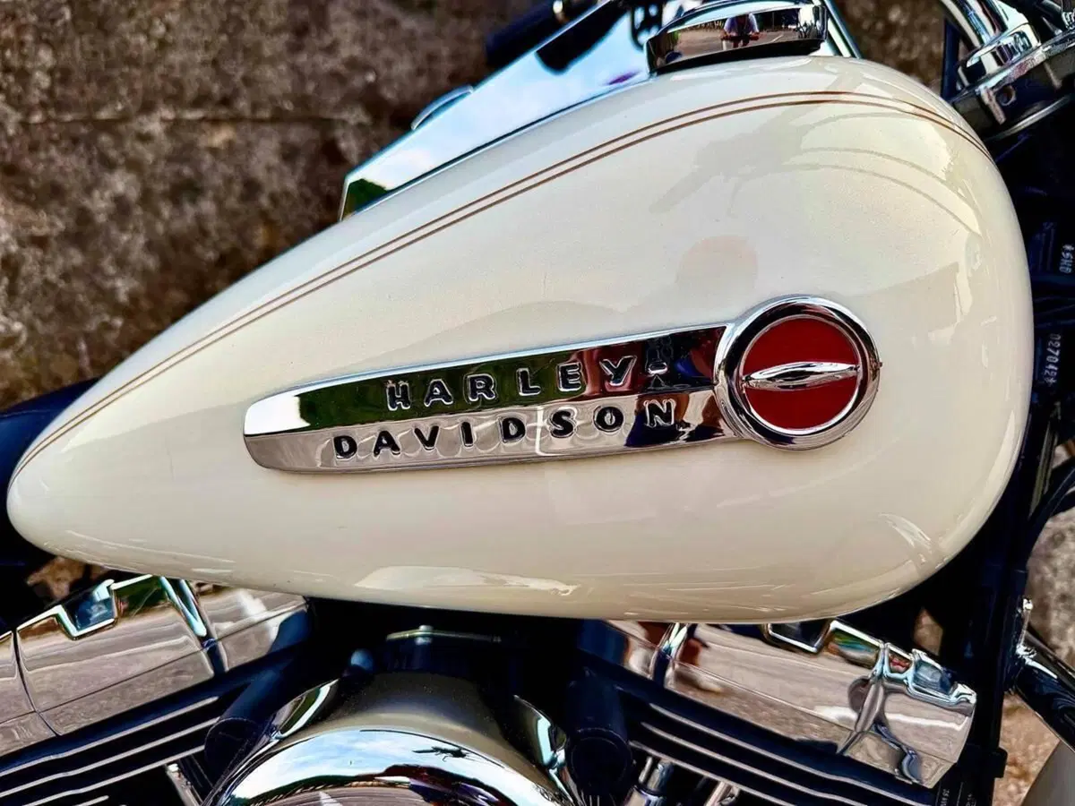 Harley-Davidson 1690 Deluxe ABS (2011 - 16) - FLSTN (15)