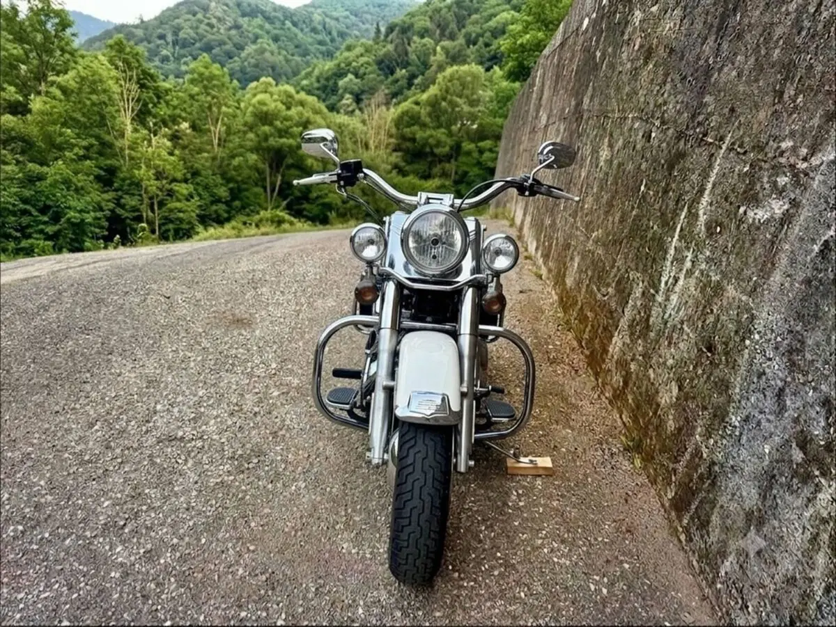 Harley-Davidson 1690 Deluxe ABS (2011 - 16) - FLSTN (3)