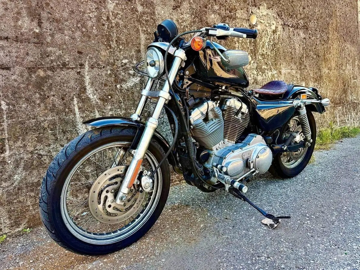 Harley-Davidson 883 (2006 - 07) - XL (4)