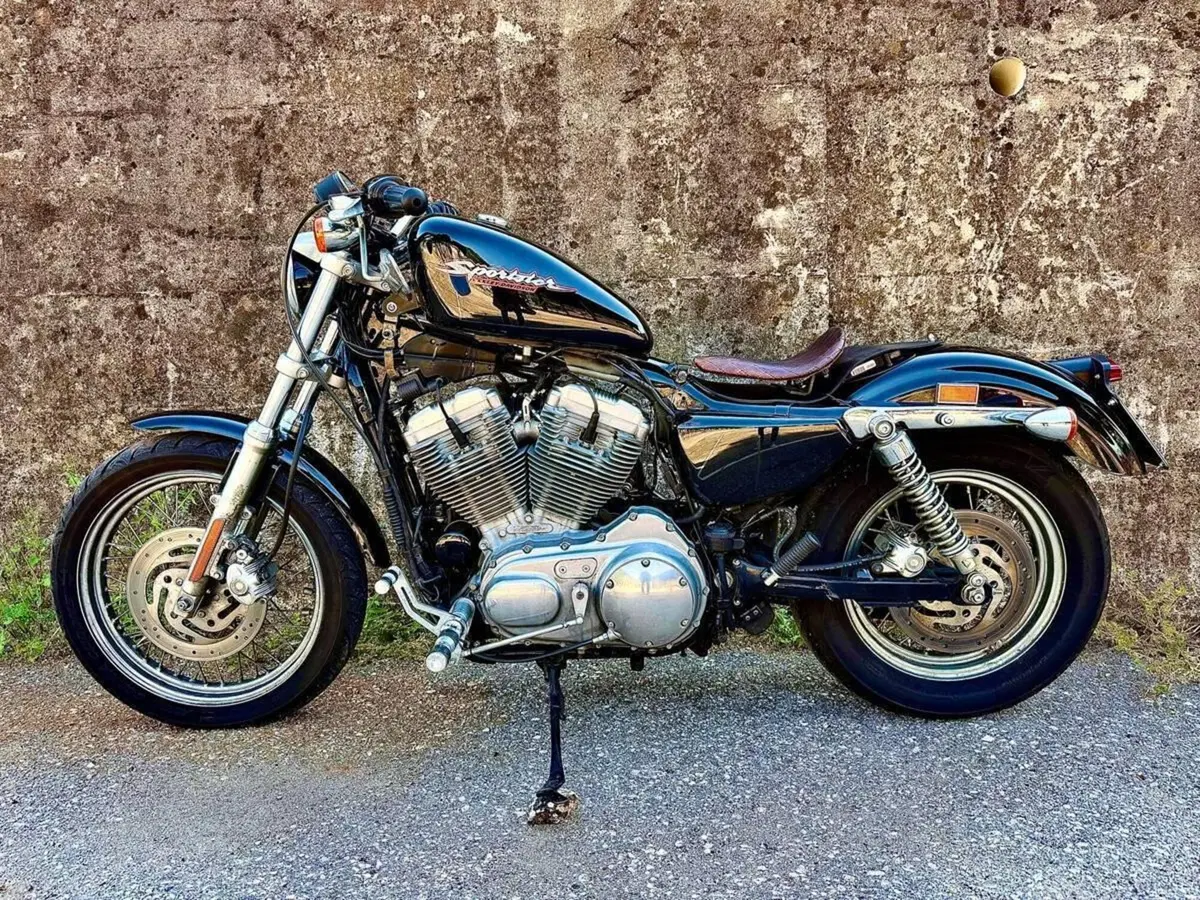 Harley-Davidson 883 (2006 - 07) - XL (5)