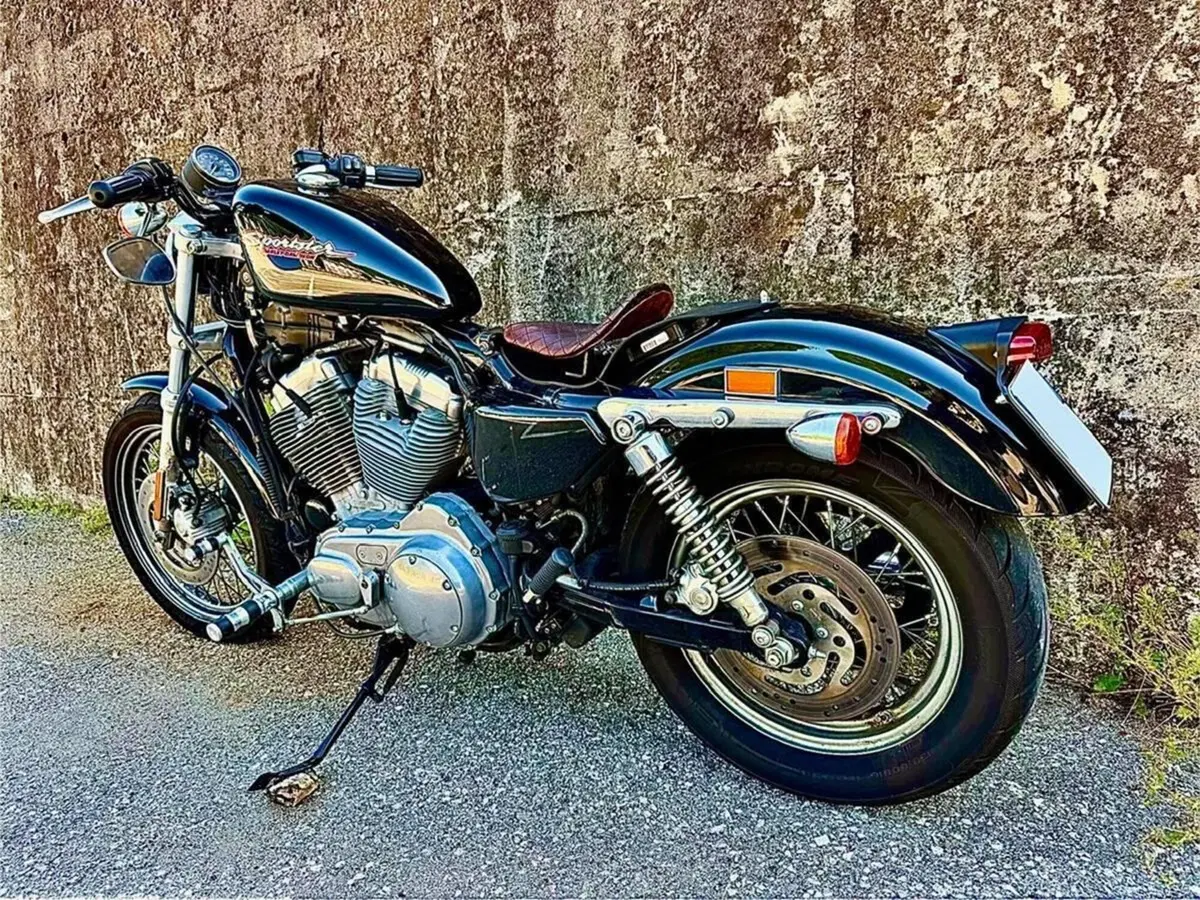 Harley-Davidson 883 (2006 - 07) - XL (6)