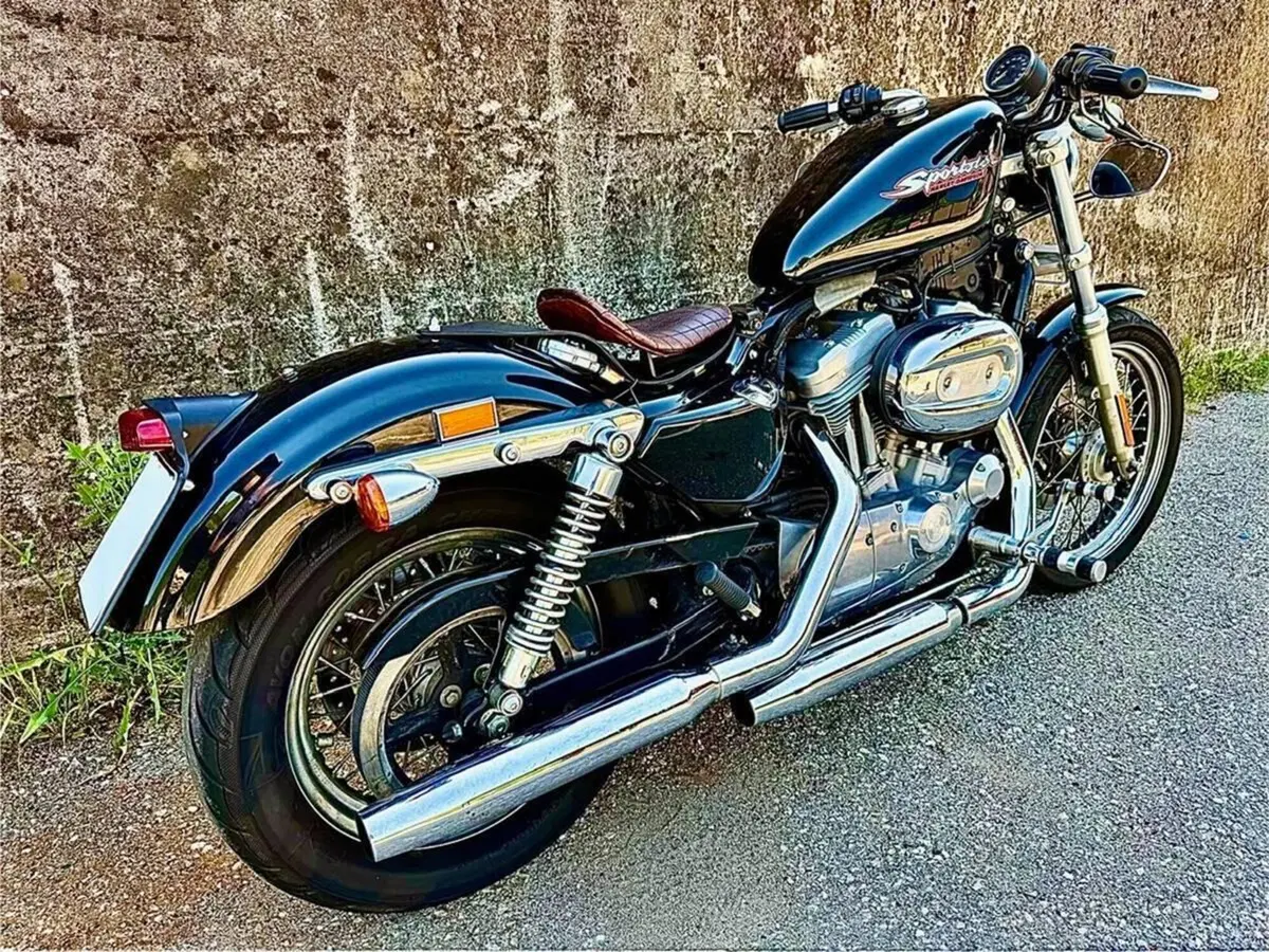 Harley-Davidson 883 (2006 - 07) - XL (7)