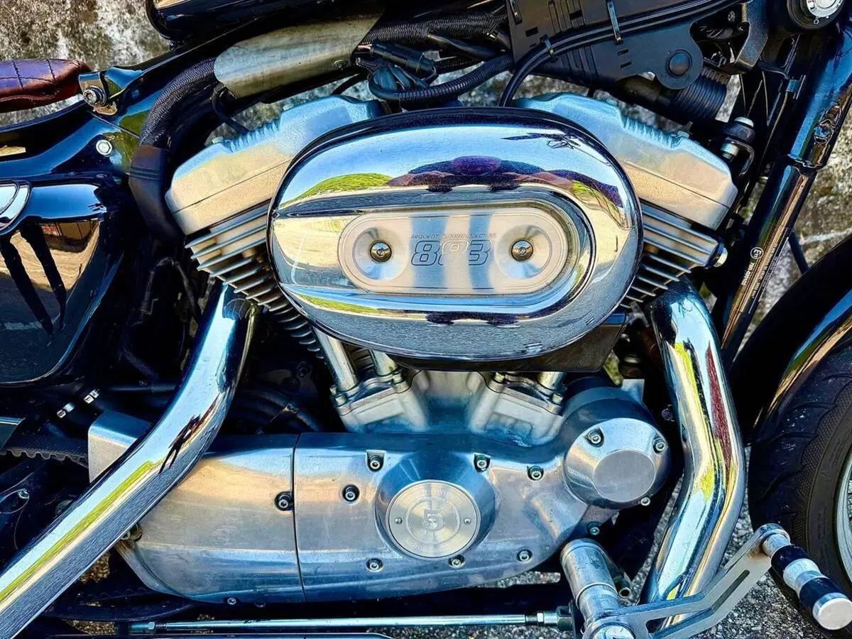 Harley-Davidson 883 (2006 - 07) - XL (9)