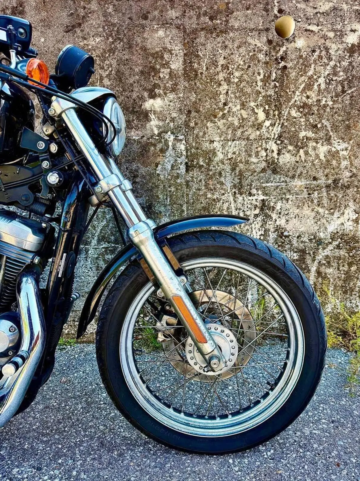 Harley-Davidson 883 (2006 - 07) - XL (10)