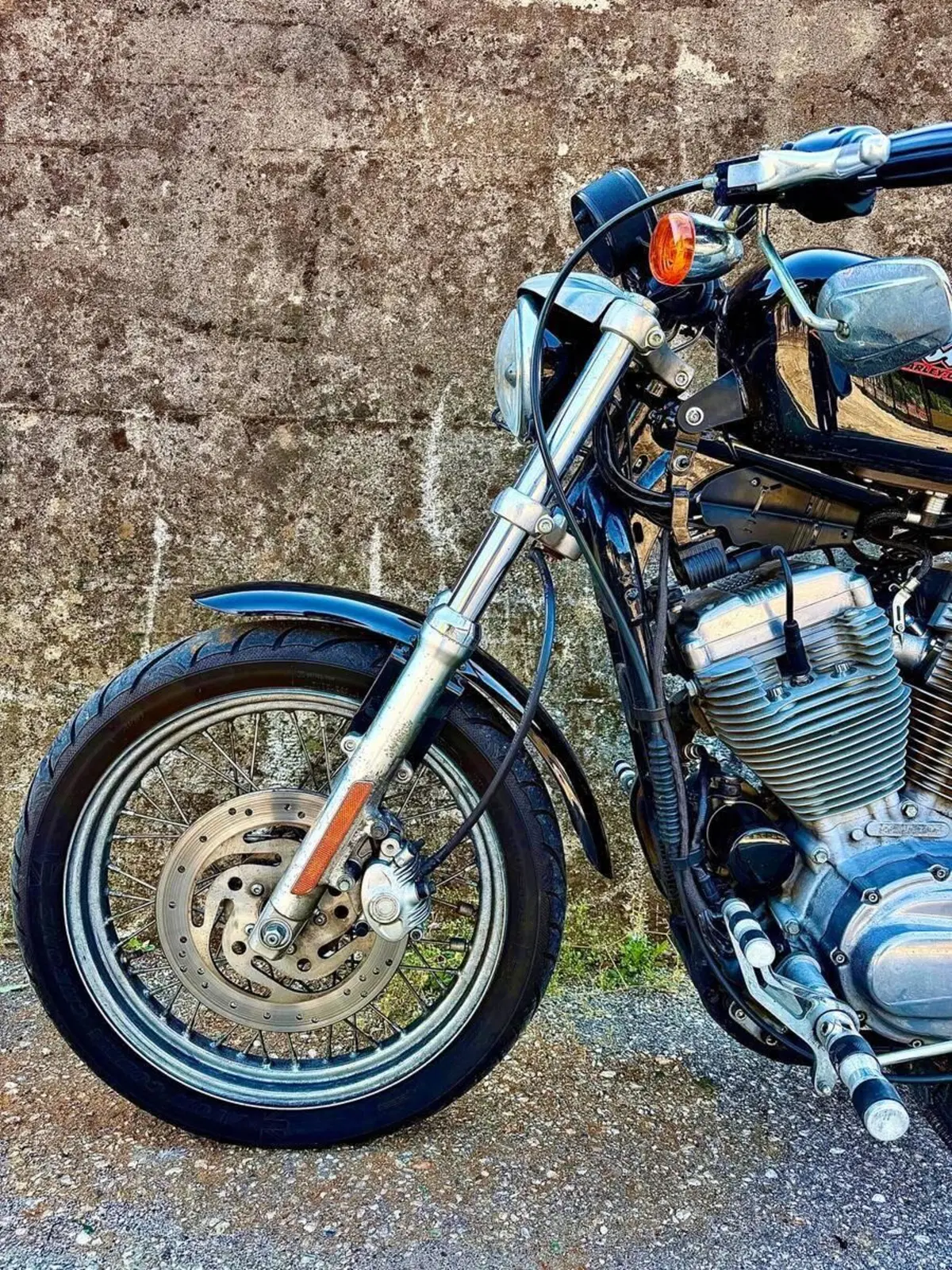 Harley-Davidson 883 (2006 - 07) - XL (11)