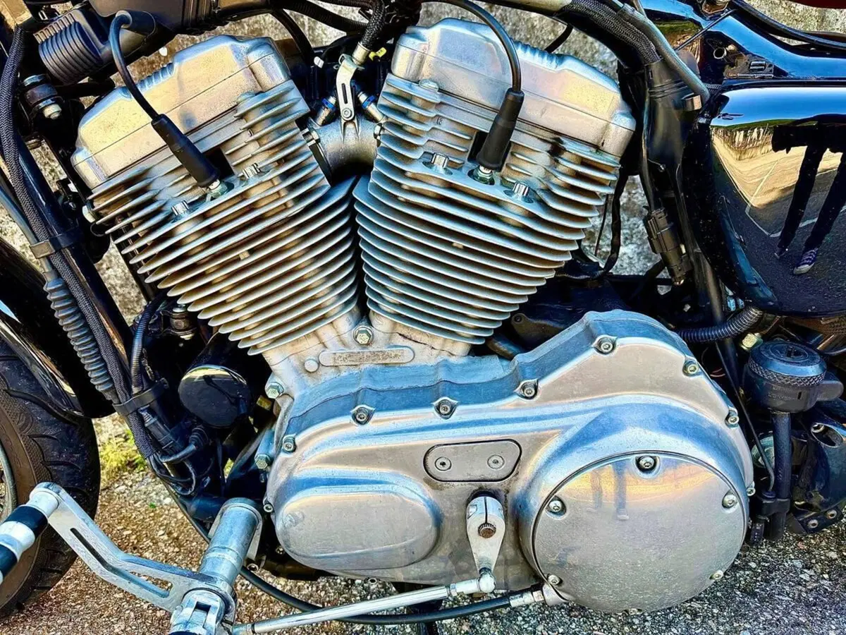 Harley-Davidson 883 (2006 - 07) - XL (12)