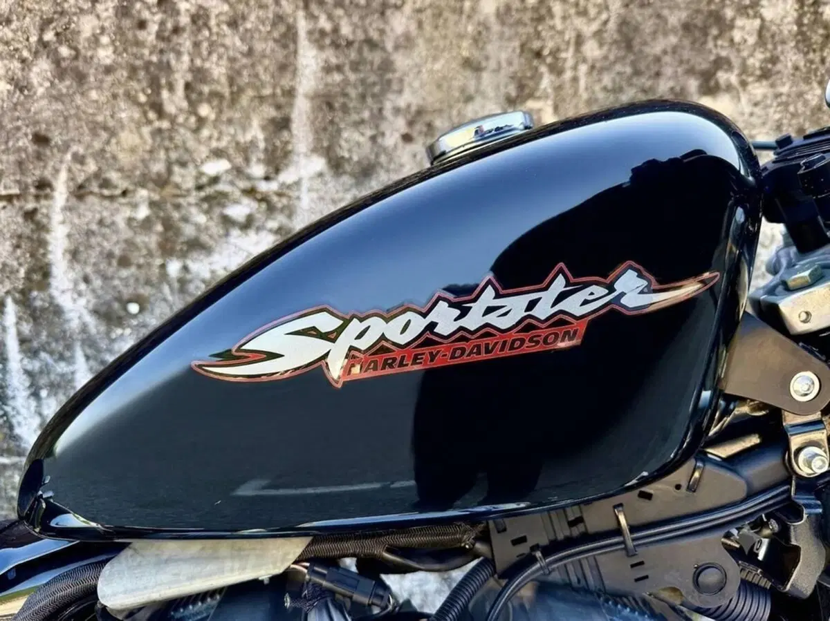 Harley-Davidson 883 (2006 - 07) - XL (14)