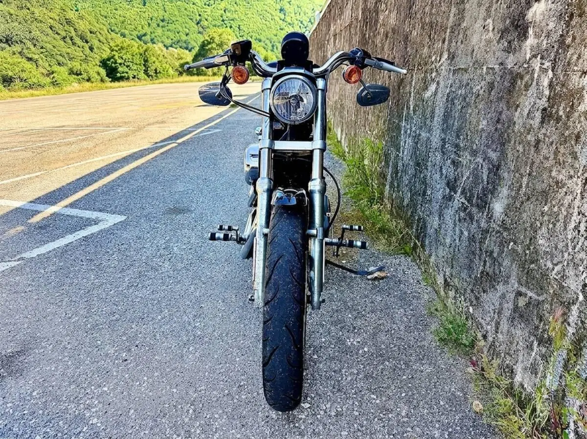 Harley-Davidson 883 (2006 - 07) - XL (3)