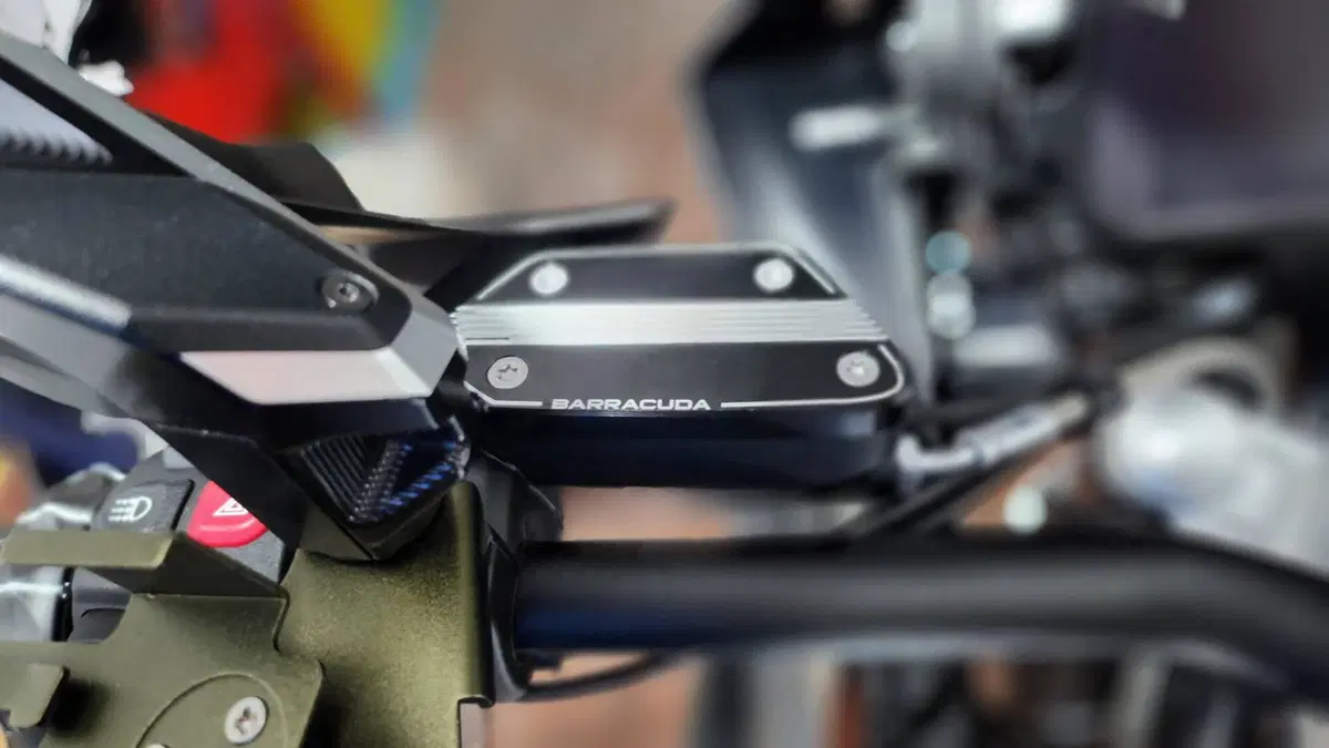 Bmw R 1250 GS (2021 - 24) (2)