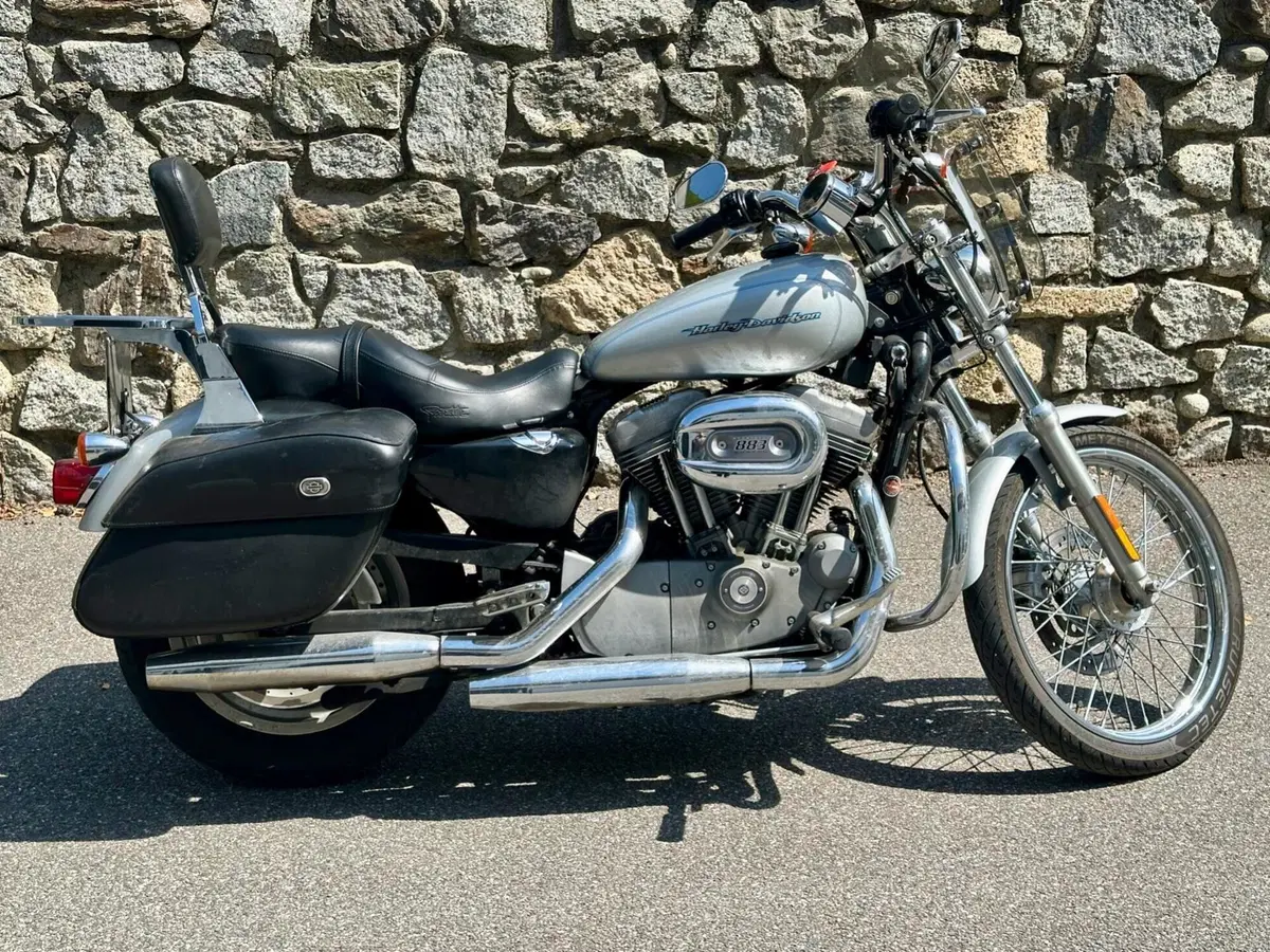 Harley-Davidson 883 Custom (2001 - 05) - XL 53C (16)